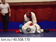 Championship in army hand-to-hand combat (2017 год). Редакционное фото, фотограф Анна Кривицкая / Фотобанк Лори