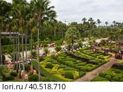 Nong Nooch Tropical Botanical Garden. Pattaya, Thailand. (2018 год). Стоковое фото, фотограф Виктория Тельминова / Фотобанк Лори