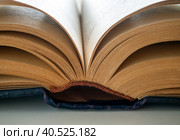 Открыта старая книга с пожелтевшими страницами. Виден корешок книги и часть разворота страниц. Крупный план. Фон для библиотек, образования, исследований и других видов деятельности. An old book with yellowed pages is open. The spine of the book and part of the pages spread are visible. Close-up. Background for libraries, education, research and other activities. Стоковое фото, фотограф Бузмакова Светлана / Фотобанк Лори