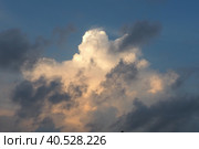 A beautiful cloud illuminated by sun during sunset. Blue sky and dark gray clouds around the edges. Evening sky. Climate change, aviation, hydrometeorology. Cumulus cotton clouds in the stratosphere. Стоковое фото, фотограф Юлия Петровская / Фотобанк Лори