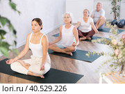 Young lady performs comfortable lotus asana-Padmasana-Siddhasana pose. Стоковое фото, фотограф Яков Филимонов / Фотобанк Лори