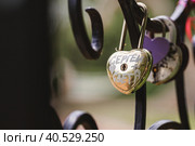 Padlock of lovers as a symbol of eternal love. Castles of love on the alley of love in Kolomenskoye Park. Стоковое фото, фотограф Photojuli / Фотобанк Лори