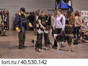 A visitor with dogs at the White Nights exhibition (2014 год). Редакционное фото, фотограф Анна Кривицкая / Фотобанк Лори