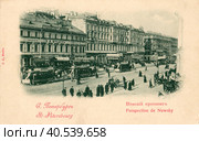 Санкт-Петербург. Невский проспект. Стоковое фото, фотограф Галина Лукьяненко / Фотобанк Лори