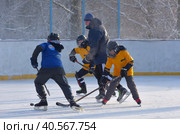 Open hockey family festival in winter. Семейный фестиваль по хоккею (2021 год). Редакционное фото, фотограф Анна Кривицкая / Фотобанк Лори