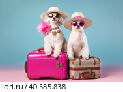 Two white poodles in glasses and hats are sitting on pink suitcases. Summer travel concept. Generative AI. Стоковое AI-изображение, AI-художник Юрий Поздников / Фотобанк Лори