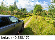Nissan Qashqai vehicle on the rural road and the toxic hogweed (2020 год). Редакционное фото, фотограф FotograFF / Фотобанк Лори