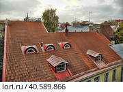 Red roofs of Tallinn. Estonia (2014 год). Редакционное фото, фотограф Анна Кривицкая / Фотобанк Лори