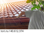 A gardener cleans the gutter of a drainpipe from dry leaves. Prevention of drain clogging. Стоковое фото, фотограф Коханова Наталья / Фотобанк Лори