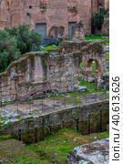 Rome - ancient Roman Forum, UNESCO World Heritage Site (2018 год). Редакционное фото, фотограф Анна Кривицкая / Фотобанк Лори