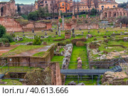 Rome - ancient Roman Forum, UNESCO World Heritage Site (2018 год). Редакционное фото, фотограф Анна Кривицкая / Фотобанк Лори