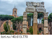 Rome - ancient Roman Forum, UNESCO World Heritage Site (2018 год). Редакционное фото, фотограф Анна Кривицкая / Фотобанк Лори