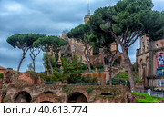 Antique Ruins in Rome, Italy (2018 год). Редакционное фото, фотограф Анна Кривицкая / Фотобанк Лори