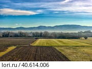 Scenic Tuscan landscape with beautiful fields, meadows and hills with morning fogs (2018 год). Стоковое фото, фотограф Анна Кривицкая / Фотобанк Лори