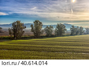 Scenic Tuscan landscape with beautiful fields, meadows and hills with morning fogs (2018 год). Стоковое фото, фотограф Анна Кривицкая / Фотобанк Лори