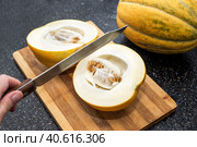 Homemade yellow ripe melon is cut into two halves with a knife. Summer harvest of gourds. Стоковое фото, фотограф Коханова Наталья / Фотобанк Лори