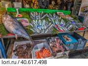 Various fish on the counter fish shop in Istanbul (2018 год). Редакционное фото, фотограф Анна Кривицкая / Фотобанк Лори