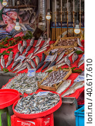 Various fish on the counter fish shop in Istanbul (2018 год). Редакционное фото, фотограф Анна Кривицкая / Фотобанк Лори