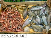 Various fish on the counter fish shop in Istanbul (2018 год). Редакционное фото, фотограф Анна Кривицкая / Фотобанк Лори