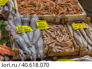 Various fish on the counter fish shop in Istanbul (2018 год). Редакционное фото, фотограф Анна Кривицкая / Фотобанк Лори
