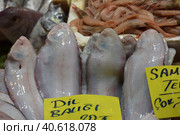 Solea solea in the fish market of Istanbul (2018 год). Редакционное фото, фотограф Анна Кривицкая / Фотобанк Лори