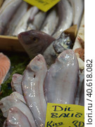 Solea solea in the fish market of Istanbul (2018 год). Редакционное фото, фотограф Анна Кривицкая / Фотобанк Лори