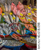 Various fish on the counter fish shop in Istanbul (2018 год). Редакционное фото, фотограф Анна Кривицкая / Фотобанк Лори