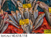 Various fish on the counter fish shop in Istanbul (2018 год). Редакционное фото, фотограф Анна Кривицкая / Фотобанк Лори