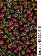 Ripe red cherries in the market on the counter. Стоковое фото, фотограф Виктория Подгорная / Фотобанк Лори