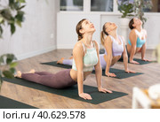 Group of females exercising during yoga class at gym Группа девушек на занятиях йогой. Стоковое фото, фотограф Яков Филимонов / Фотобанк Лори