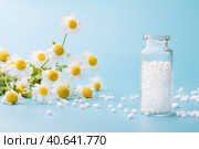 Homeopathic globules and glass bottle on blue background next to medicinal chamomile flowers. Стоковое фото, фотограф Tatiana Syrtseva / Фотобанк Лори