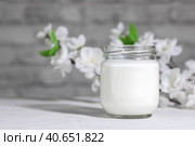 Organic probiotic milk kefir drink or Greek yogurt in glass jar,on the white grey background. Gut health. Probiotic cold fermented dairy drink. Trendy food and drink. Copy space. Стоковое фото, фотограф Tatiana Syrtseva / Фотобанк Лори