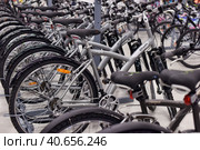 Russia, St. Petersburg 09,03,2015Bicycles for sale in a sporting goods store. Редакционное фото, фотограф Анна Кривицкая / Фотобанк Лори