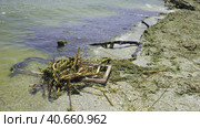 Window frame of house and other drifting debris has reached Black Sea beaches in Odessa, Ukraine. Environmental disaster caused by explosion of Kakhovka Hydroelectric Power Plant dam, panorama. Стоковое фото, фотограф Некрасов Андрей / Фотобанк Лори