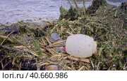Plastic and other drifting debris has reached Black Sea beaches in Odessa, Ukraine. Environmental disaster caused by the explosion of Kakhovka Hydroelectric Power Plant dam, Close-up. Стоковое фото, фотограф Некрасов Андрей / Фотобанк Лори