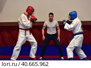 Championship in army hand-to-hand combat (2017 год). Редакционное фото, фотограф Анна Кривицкая / Фотобанк Лори