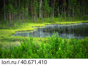 Small lake in the forest with reflection and wild water lily, Norway. Стоковое фото, фотограф Анна Кривицкая / Фотобанк Лори