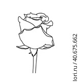 Rose flower bud on stem plant nature doodle linear cartoon coloring. Стоковая иллюстрация, иллюстратор Вахминцева Ольга / Фотобанк Лори