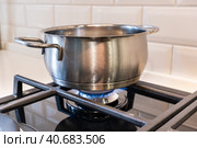 Pot is on the gas burner of the stove. Стоковое фото, фотограф VittoriaChe / Фотобанк Лори