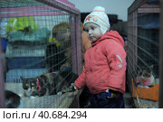 St. Petersburg, Russia 26.10.2013    The Way Home - show the distribution of animal shelter Rzhevka, Редакционное фото, фотограф Анна Кривицкая / Фотобанк Лори