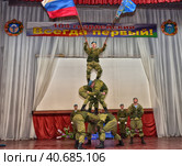 Demonstration performance of airborne fighters (2017 год). Редакционное фото, фотограф Анна Кривицкая / Фотобанк Лори