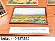 House-museum of the artist ND Mordvinov in Yadrin (2017 год). Редакционное фото, фотограф Анна Кривицкая / Фотобанк Лори