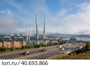 Владивосток. Вид на Золотой мост (2023 год). Стоковое фото, фотограф Галина / Фотобанк Лори