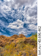 Saguaro National Park, landscape with cloudy sky (2016 год). Стоковое фото, фотограф Анна Кривицкая / Фотобанк Лори