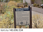 Saguaro National Park. Tourist center and tourist information (2016 год). Редакционное фото, фотограф Анна Кривицкая / Фотобанк Лори