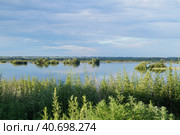 Заливные луга. Стоковое фото, фотограф Людмила Булыгина / Фотобанк Лори