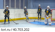 Training complex for hockey players, (2017 год). Редакционное фото, фотограф Анна Кривицкая / Фотобанк Лори