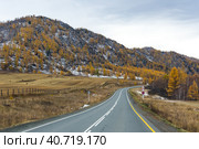 View of Chuysky Trakt in Altay mountains. Стоковое фото, фотограф Юлия Белоусова / Фотобанк Лори