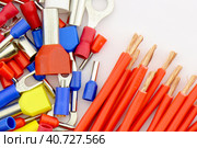 Наконечники металлические штыревые с изолированной вставкой для медных монтажных многожильных проводов. Крупным планом. Стоковое фото, фотограф Нелик Дулатов / Фотобанк Лори