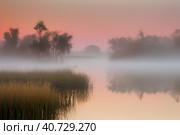 Dawn over the river. Morning fog. Summer landscape. Стоковое AI-изображение, AI-художник Сергей Елизарьев / Фотобанк Лори